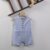 Vertical Stripes Print